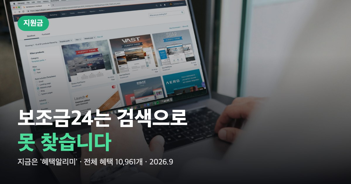 노트북으로 온라인 조회를 하는 모습 위에 "보조금24는 검색으로 못 찾습니다"라는 문구가 얹힌 대표이미지